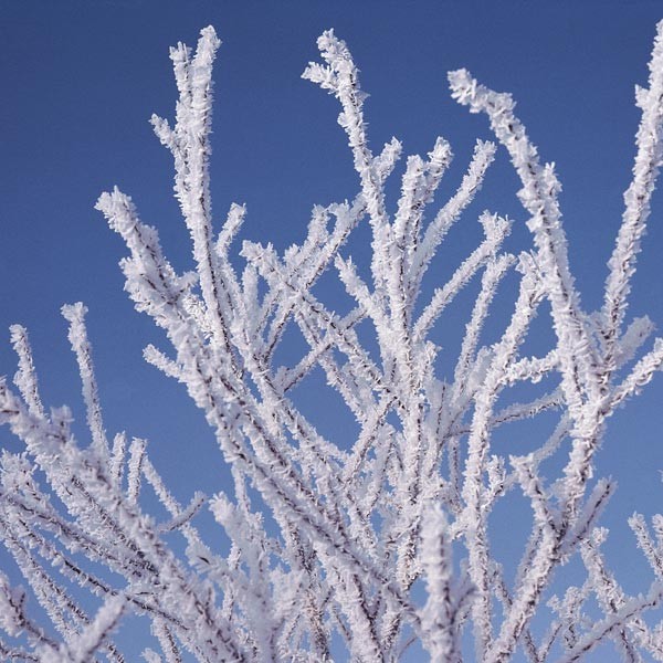 Saunaaufguss Winter